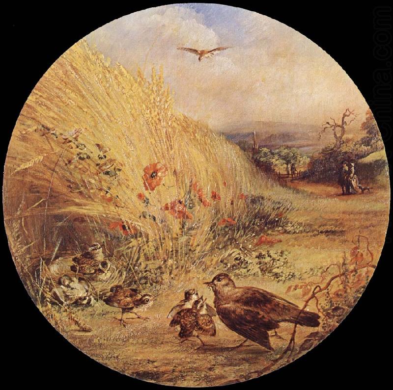William Dexter Wheatfield with bird-s nest china oil painting image